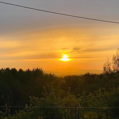 Zacisze Na Podzamczu Apartment Odrzykon Bagian luar foto