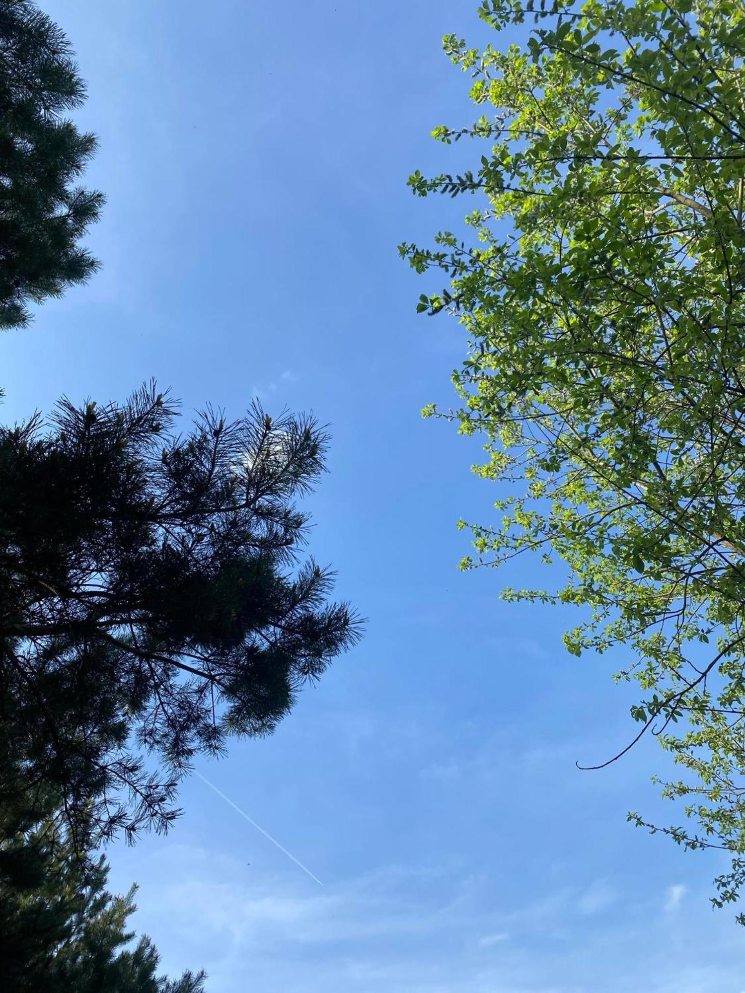 Zacisze Na Podzamczu Apartment Odrzykon Bagian luar foto