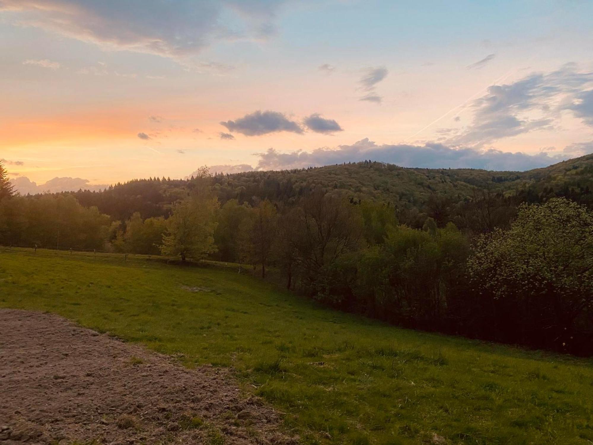 Zacisze Na Podzamczu Apartment Odrzykon Bagian luar foto